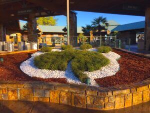 OKC Zoo Celebrates 20 Years as an Accredited Botanical Garden, Living Museum by Darla Shelden